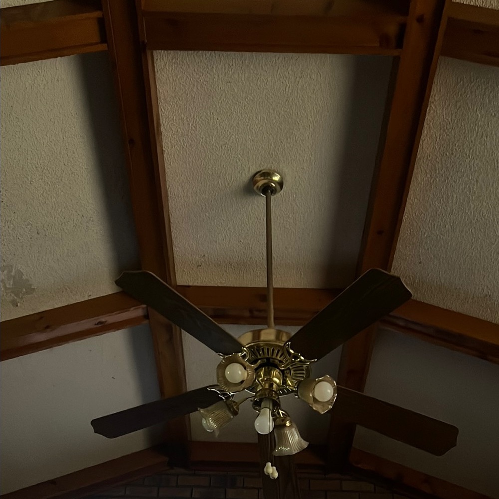 Brandy Melville Ceiling Fan with Dark Blades and Gold Accents